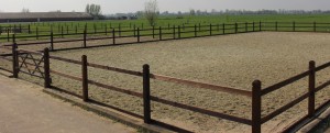 stadslandbouw en paarden