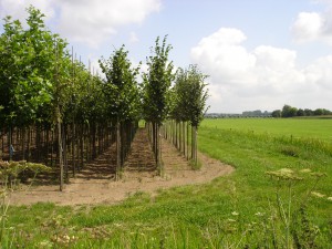 locatiespecifiek onderzoek spuitzones