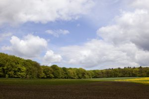 voormalige agrarische bedrijfswoning